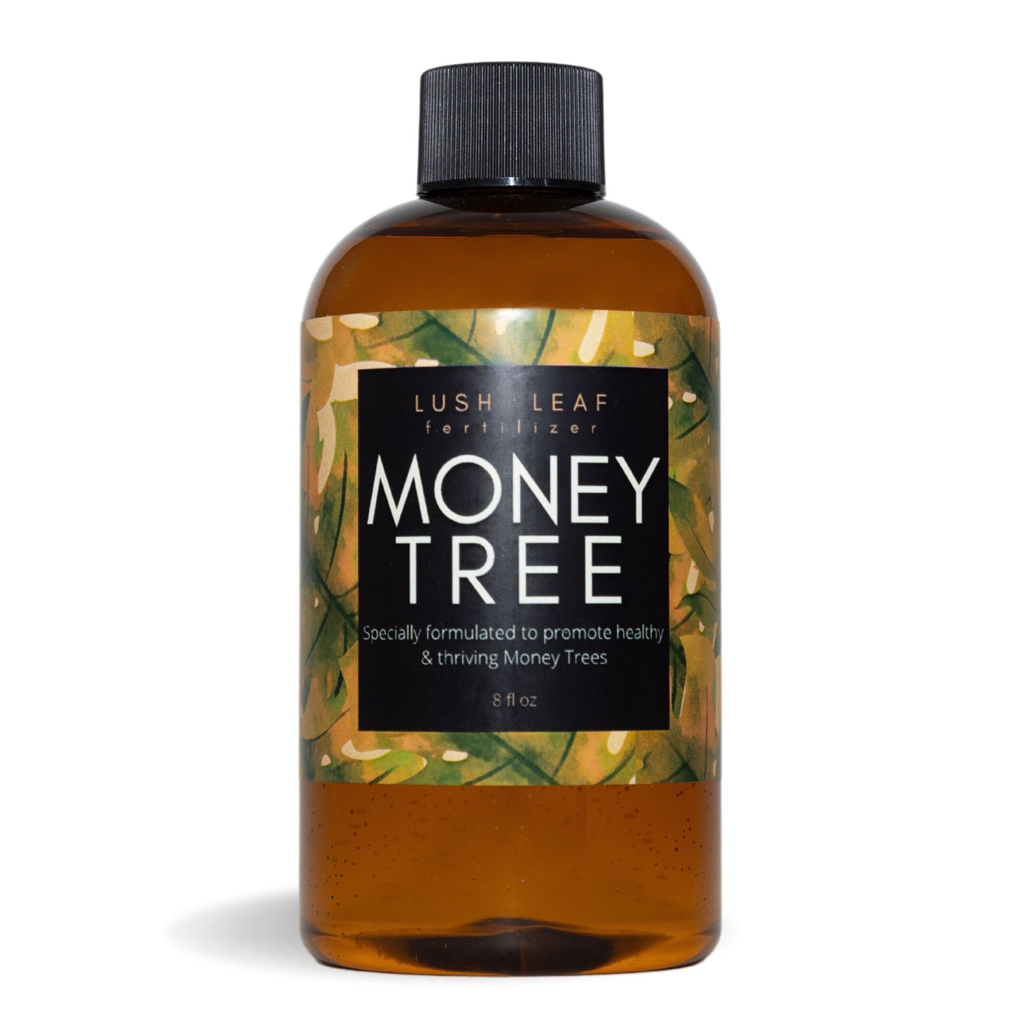 Money Tree Food